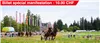 Marché-Concours 2026 | S'y rendre en transports publics